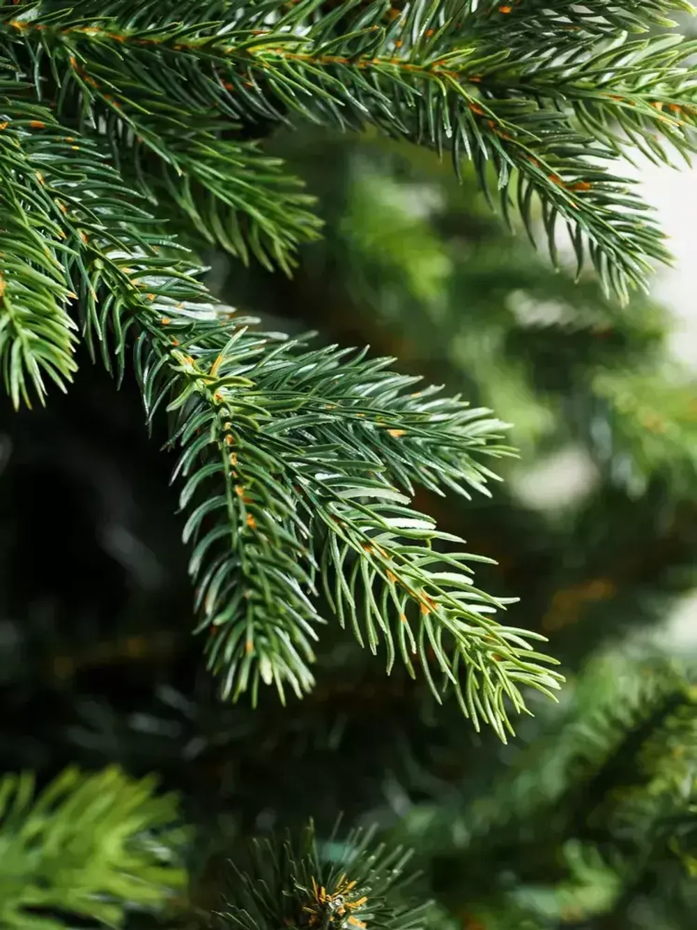 Искусственная елка «Грацио» (Литая+пвх) 270 см / 2.7 м