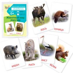 Карточки для малышей развивающие "Животный мир России" логопедические карточки на развитие и запуск речи ребенка.