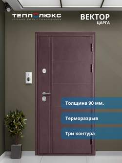 Входная дверь Вектор Царга