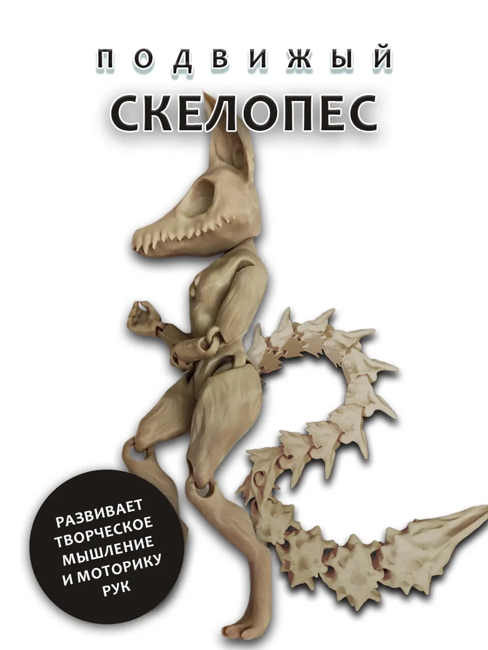 Скелет Собаки