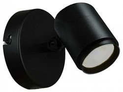 Светильник на штанге Favourite Securitas 4638-1W