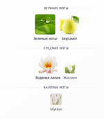 Waterlily Sun Aerin  100ml (duty free парфюмерия)