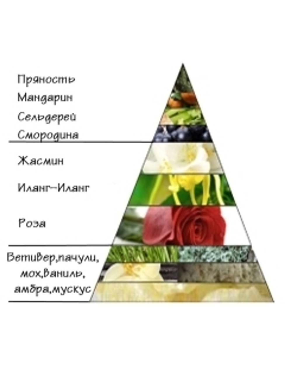 Духи Новая заря Тет-а-Тет духи 30 мл.