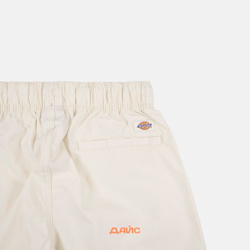 Брюки мужские Dickies Fishersville Pant  артикул:DK0A4YSDF901 - купить в магазине Дайс