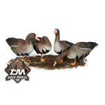 Белолобый гусь S-XPE мод. B6112X