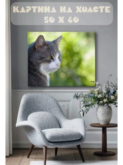 Картина на стену 40 X 50 Кот