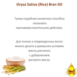 Масло рисовое, рафинированное