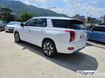 Hyundai Palisade Бензин 3.8 4WD (09.2020)