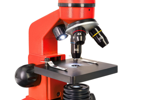 Микроскоп Levenhuk Rainbow 2L Апельсин с набором для опытов Levenhuk K50