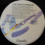 Pat Benatar / Wide Awake In Dreamland (LP)