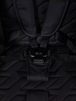 Коляска прогулочная Rant Basic Alpine Black 2026