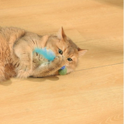 M-PETS Игрушка для кошек с кошачьей мятой CHARMY светлячок, цвет голубой