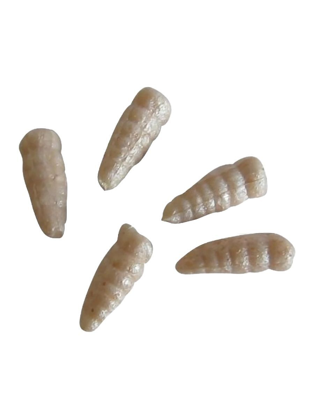 Приманка съедобная опарыш Berkley Gulp Alive Waxies, 1 см, 190 шт, White