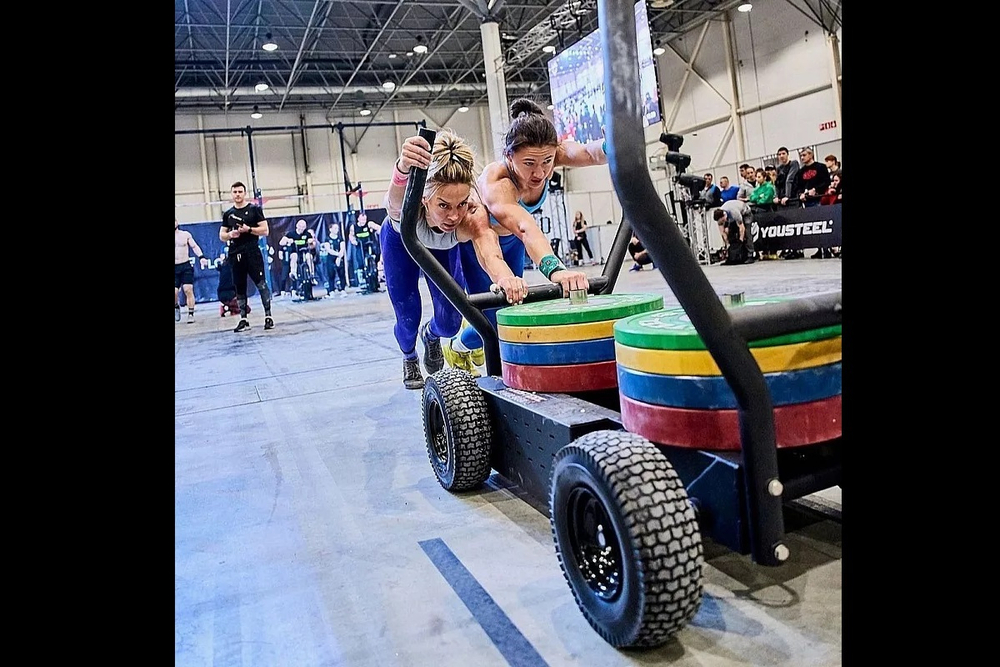 Сани-тележка