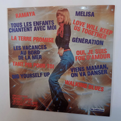 Винтажная виниловая пластинка LP Orchestres Daniel Janin, Jean Luc Ferre Et Leurs Chanteurs 12 Super Succes (Ramaya) (France 1975)