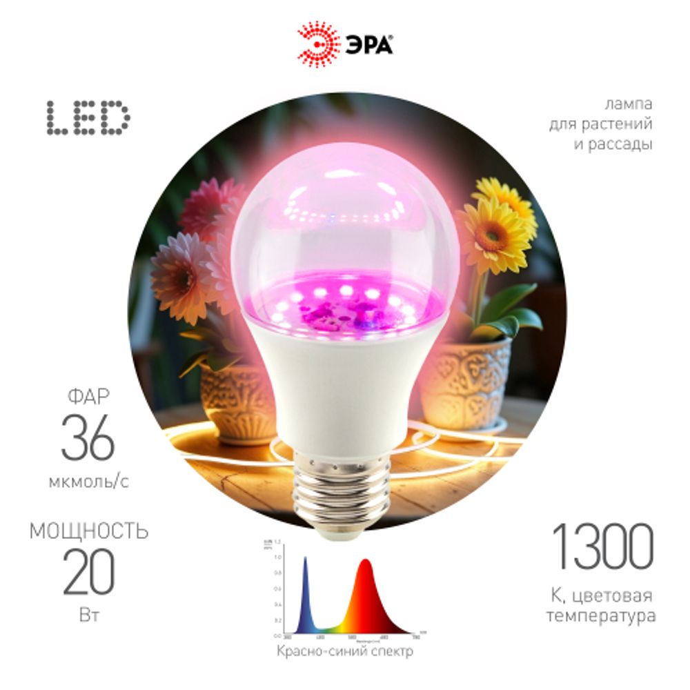 Фитолампа для растений светодиодная ЭРА FITO-20W-RB-E27 красно-синего спектра 20 Вт Е27 | ФИТО светильники