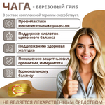 Концентрат Чага