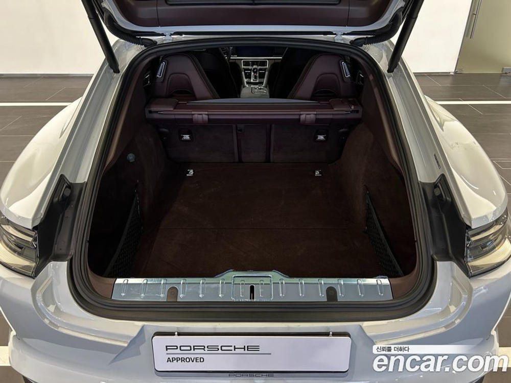 Porsche Panamera (971) 2.9 AWD Platinum Editions (05.2022)