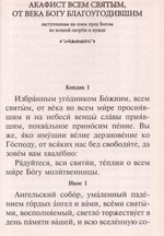 Акафисты Божией Матери и святым, читаемые в житейских нуждах, скорбях и болезнях (крупный шрифт)
