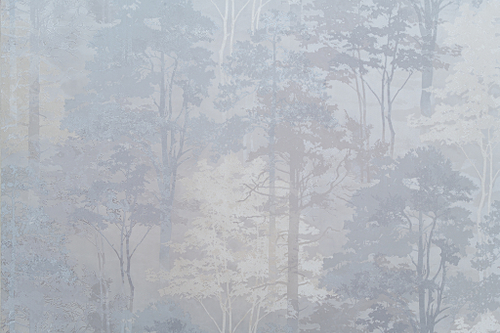 Обои 11218-03 Форест Domingo