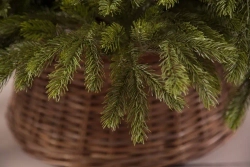 Ель Коттеджная 365 см., литая хвоя+пвх, Black Box (74335)