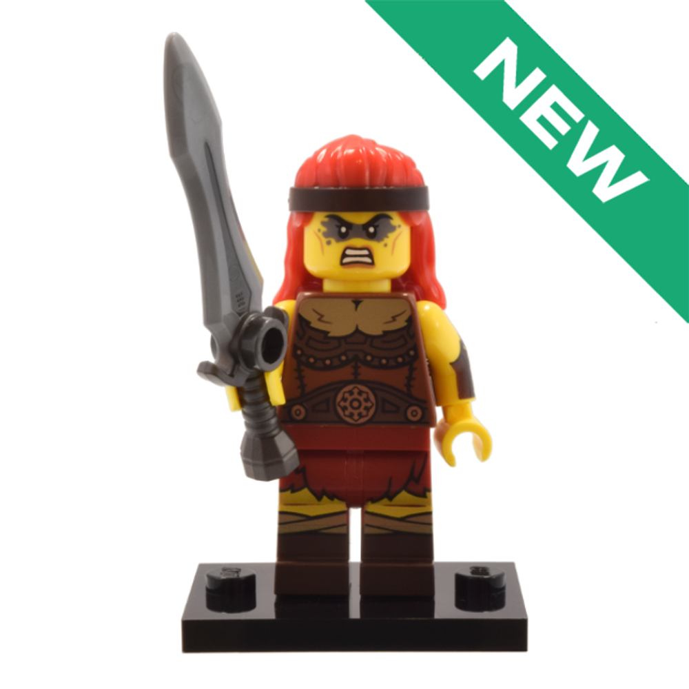 NEW Свирепый Варвар 71045 col25-11