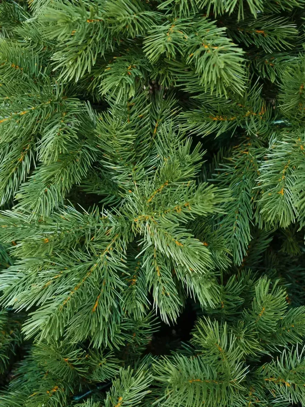 Ель искусственная «Шервуд» (Литая хвоя) от 1,5 м до 2,4 м