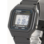 Мужские наручные часы Casio Collection W-217H-1A