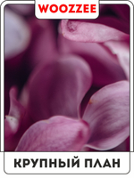 Набор постеров "Сирень с пионом" 3шт.