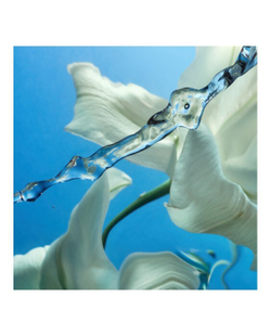 Calm Bliss 10 мл Charlotte Tilbury Парфюмированная вода