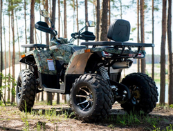 Квадроцикл YAMAHA Shark 300cc