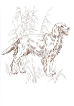 Альбом для раскрашивания полноцветный. Раскраски