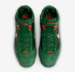 Заказать в Москве Nike LeBron 7 FAMU