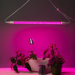 Светильник для растений, фитолампа светодиодная линейная ЭРА FITO-9W-Rb-Т8+FITO-Holder IP65 2хG13 с выключателем, 1.5м