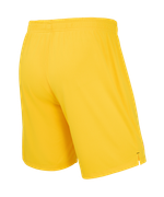 Шорты вратарские Jögel PerFormDRY Spartak 25 GK Shorts-K, желтый