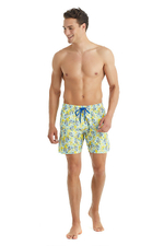 Мужские пляжные шорты мультиколор