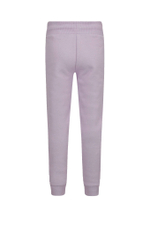 спортивные штаны GUESS ACTIVE - лавандовый(J2RQ16 K9V31)
