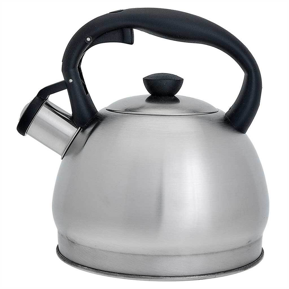 Чайник со свистком 2 л из нержавеющей стали, индукционное дно WEBBER BE-0578