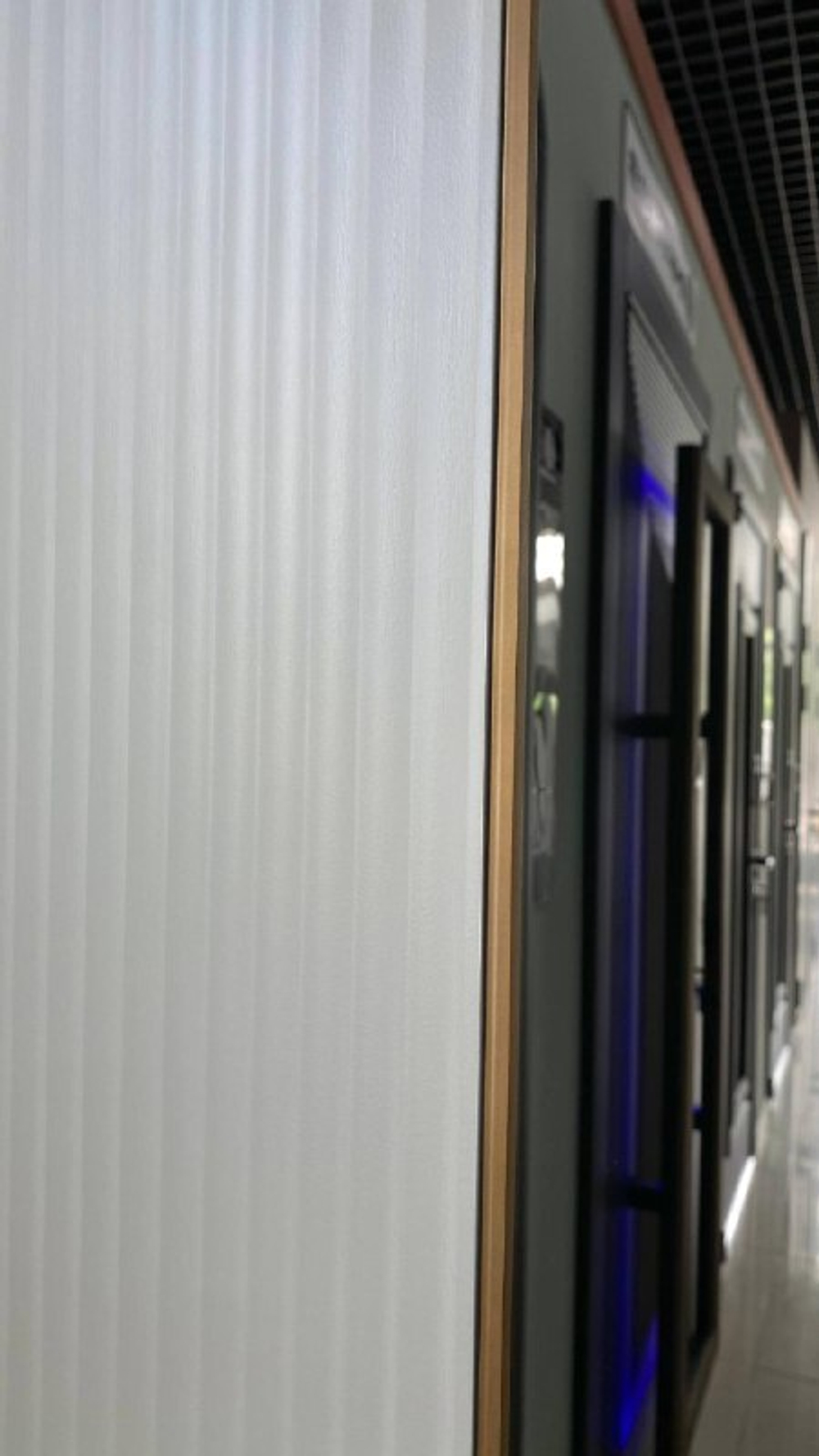 Дверь входная Монако