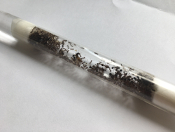 Комплект формикарий "Белый Дом 3.0" и муравьи Pheidole (160х100х100 мм)