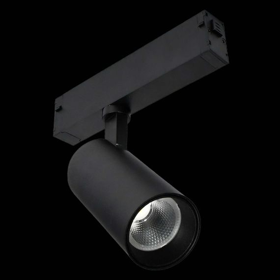 Трековый светильник ST LUCE SKYLINE 220 ST660.496.10H