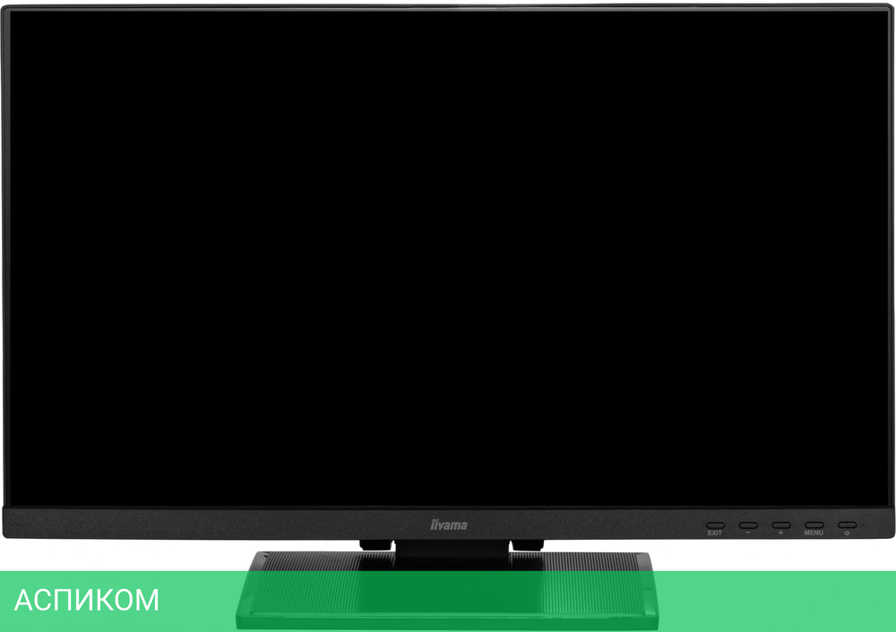 Монитор Iiyama ProLite T2254MSC-B1AG черный