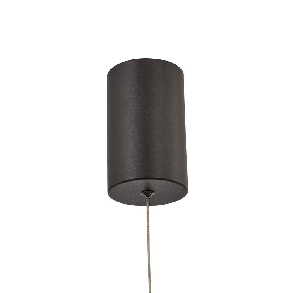 Подвесной светодиодный светильник Favourite Boble 4550-1P