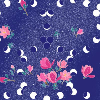 Магнолии в космосе