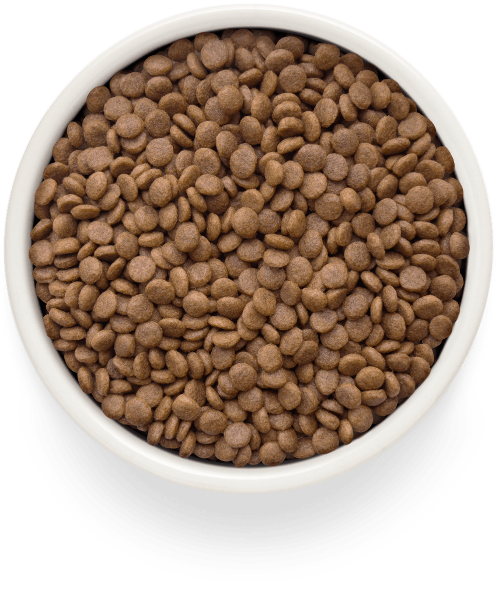 Grandorf fresh cat potato корм сухой беззерновой для стерилизованных кошек лосось,батат