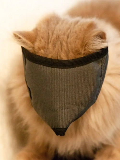 Намордник для кошки Монморанси 4-6кг для животных для кошек