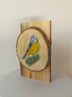 Мини-панно. Рисунок на спиле с поленцем