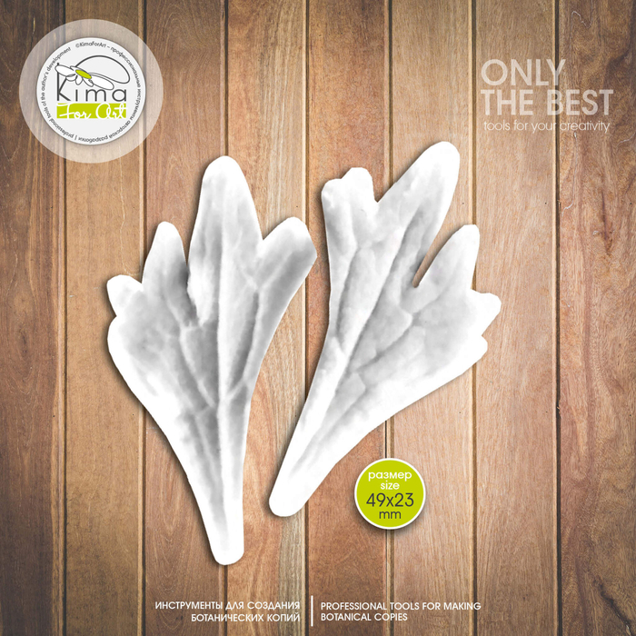 Ранункулюс лист маленький