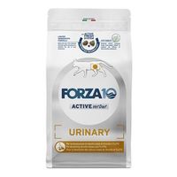 Forza10 -20%